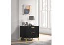 Kendall Tufted Panel Queen Bed Black And Gold